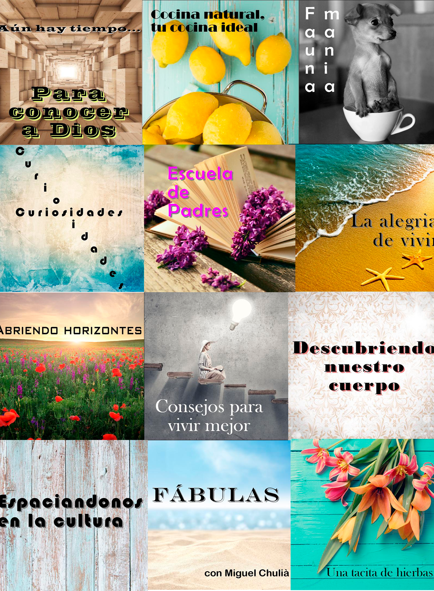 imagen-contenidos